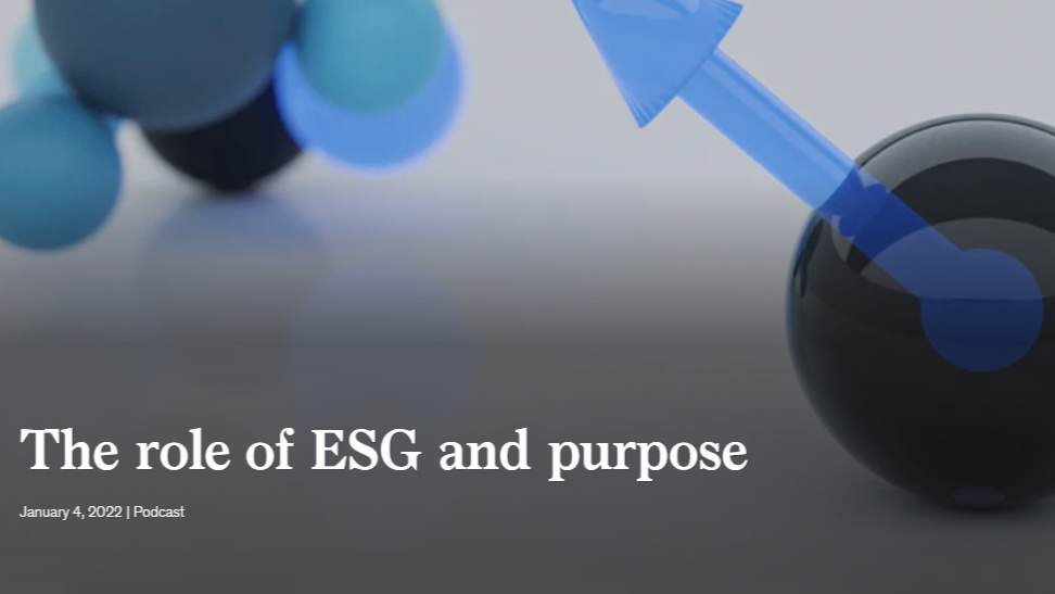 The Role of ESG and Purpose