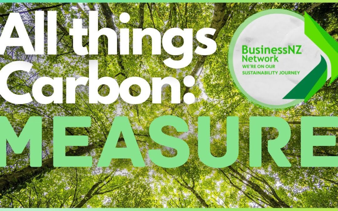 All things carbon webinar series – Part 1: Measure