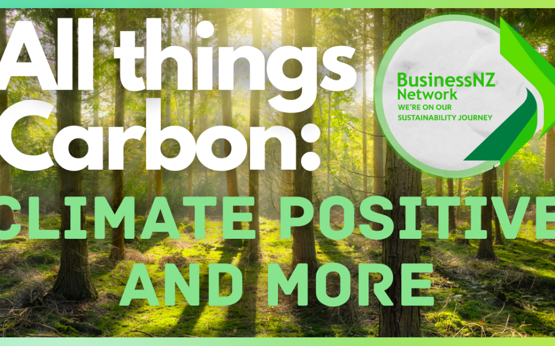All things carbon webinar series – Part 5 – Climate positive, SBTIs and Scope 3