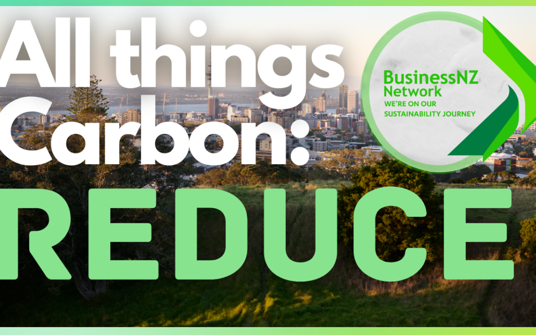 All things carbon webinar series – Part 3 – Reduce